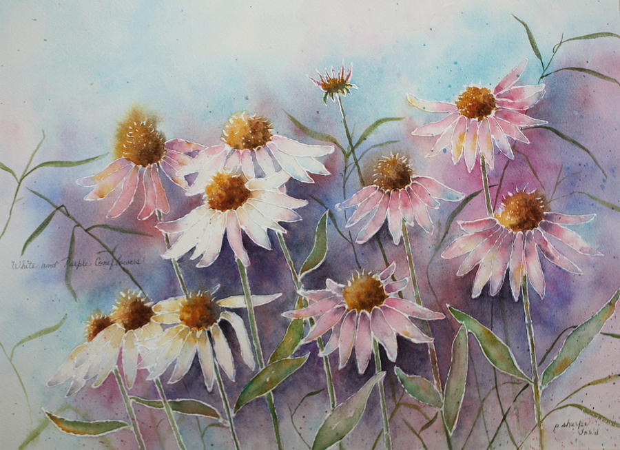 White and Pink Coneflowers Painting by Patsy Sharpe