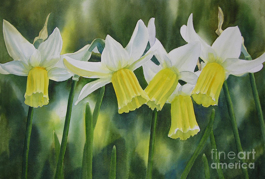 Flower Painting - White and Yellow Daffodils by Sharon Freeman