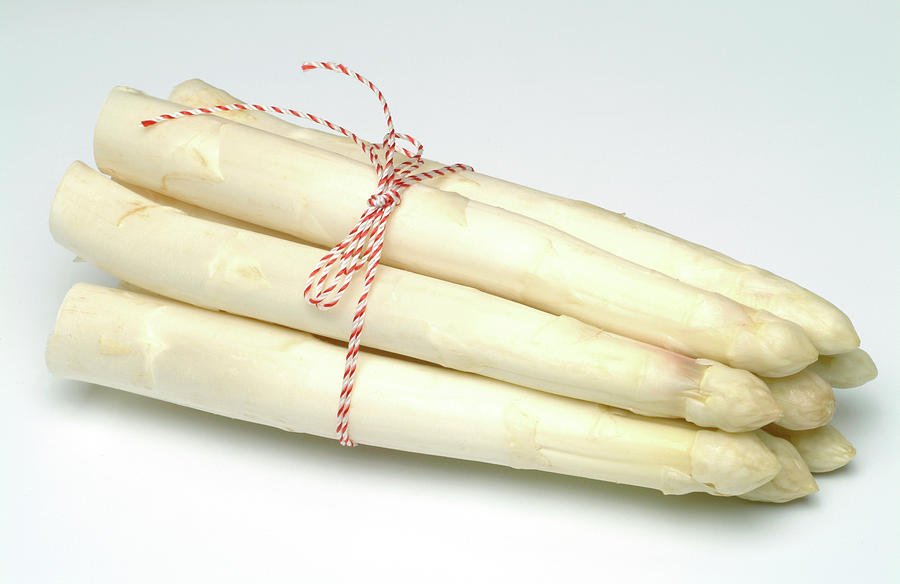 Still Life Photograph - White Asparagus by Bildagentur-online/th Foto/science Photo Library
