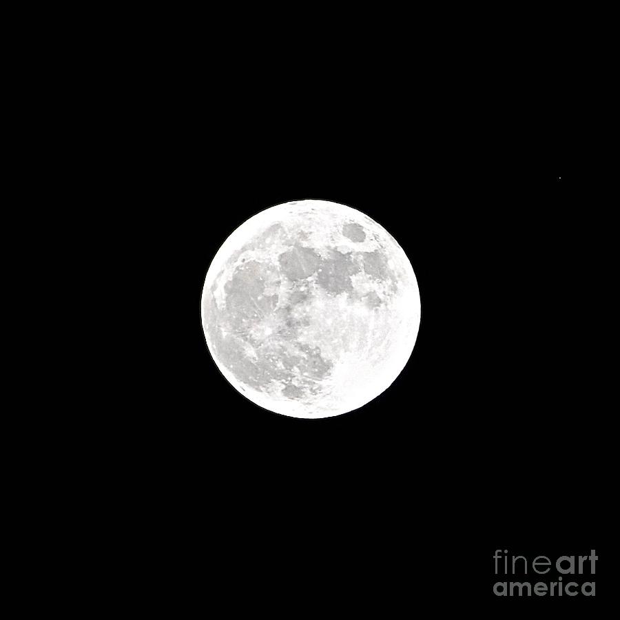 White Balance Full Moon Photograph by Bridgette Gomes