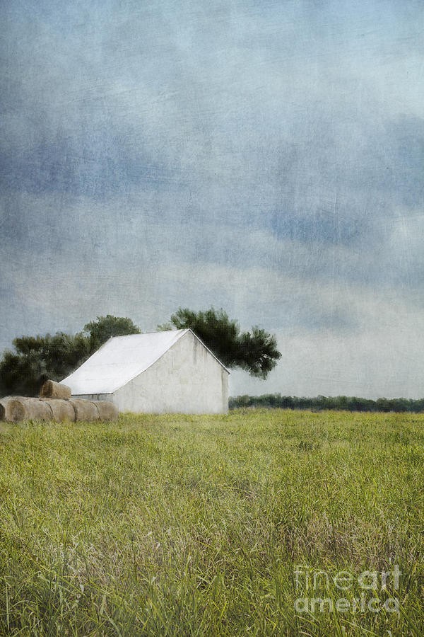 Tree Photograph - White barn by Elena Nosyreva