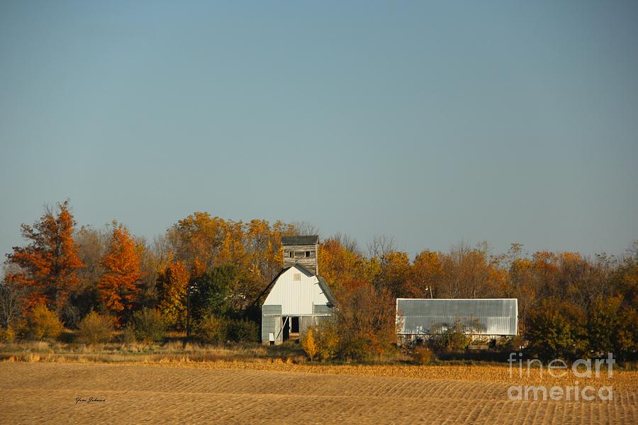 White Barn in Fall Photograph by Yumi Johnson