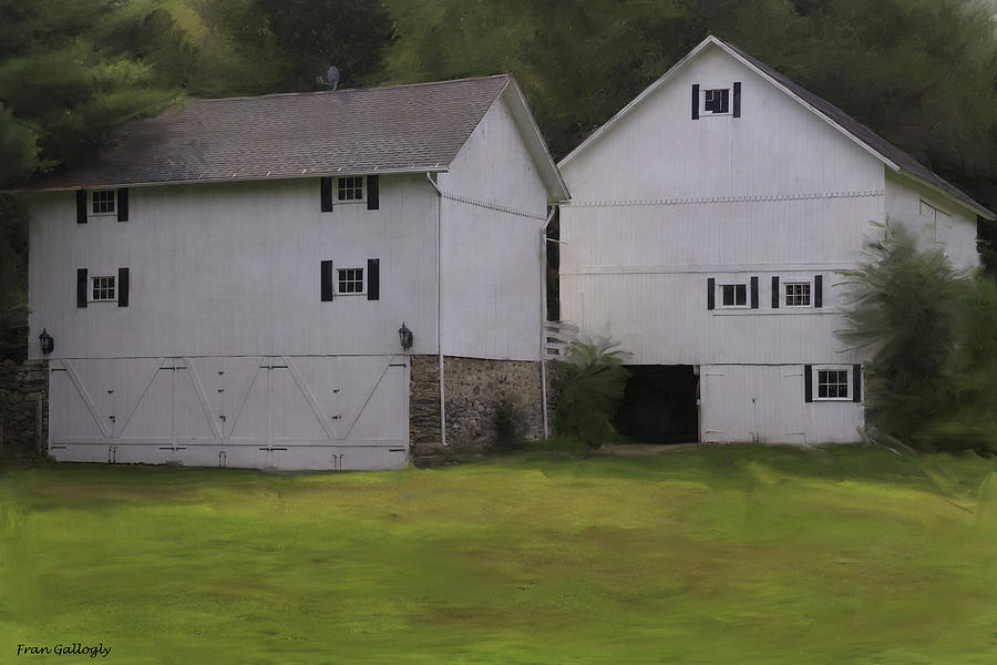 Barn Photograph - White Barns by Fran Gallogly