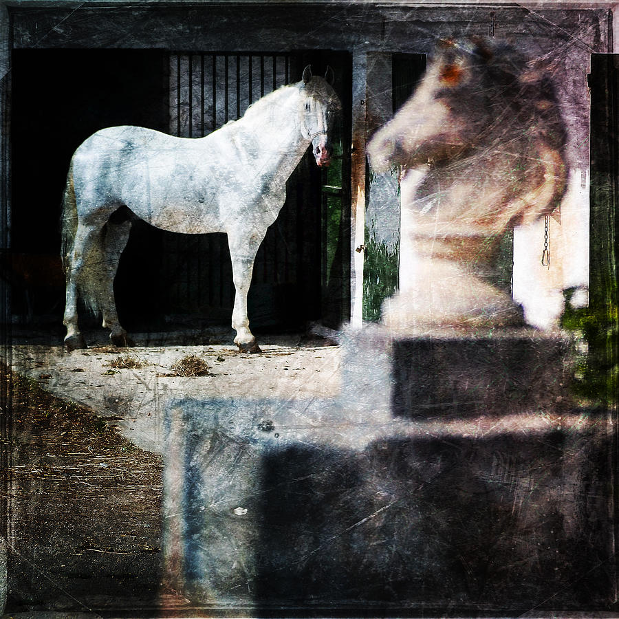 White horse in front of white statue of a horse - White beauty Photograph by Pedro Cardona Llambias