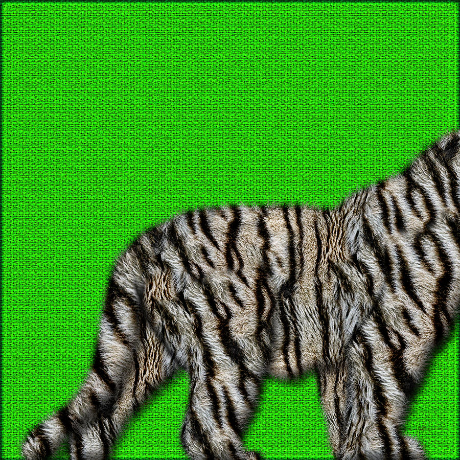 White Bengal Tiger Furry Bottom on Green Digital Art by Serge Averbukh