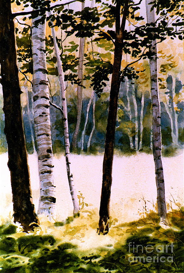 White Birch Trees Painting by Karol Wyckoff