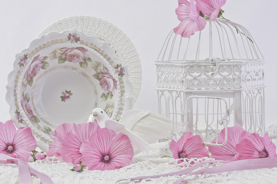 Holiday Gifts Photograph - White Bird And Cage With Lavatera Flowers  by Sandra Foster