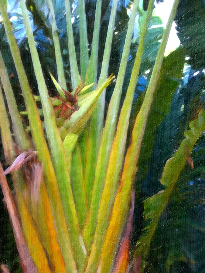 White Bird of Paradise by Carol Kinkead White Bird of Paradise by Carol Kinkead