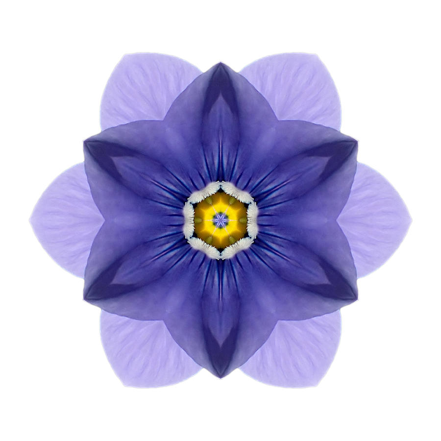 Blue Pansy I Flower Mandala White Photograph by David J Bookbinder