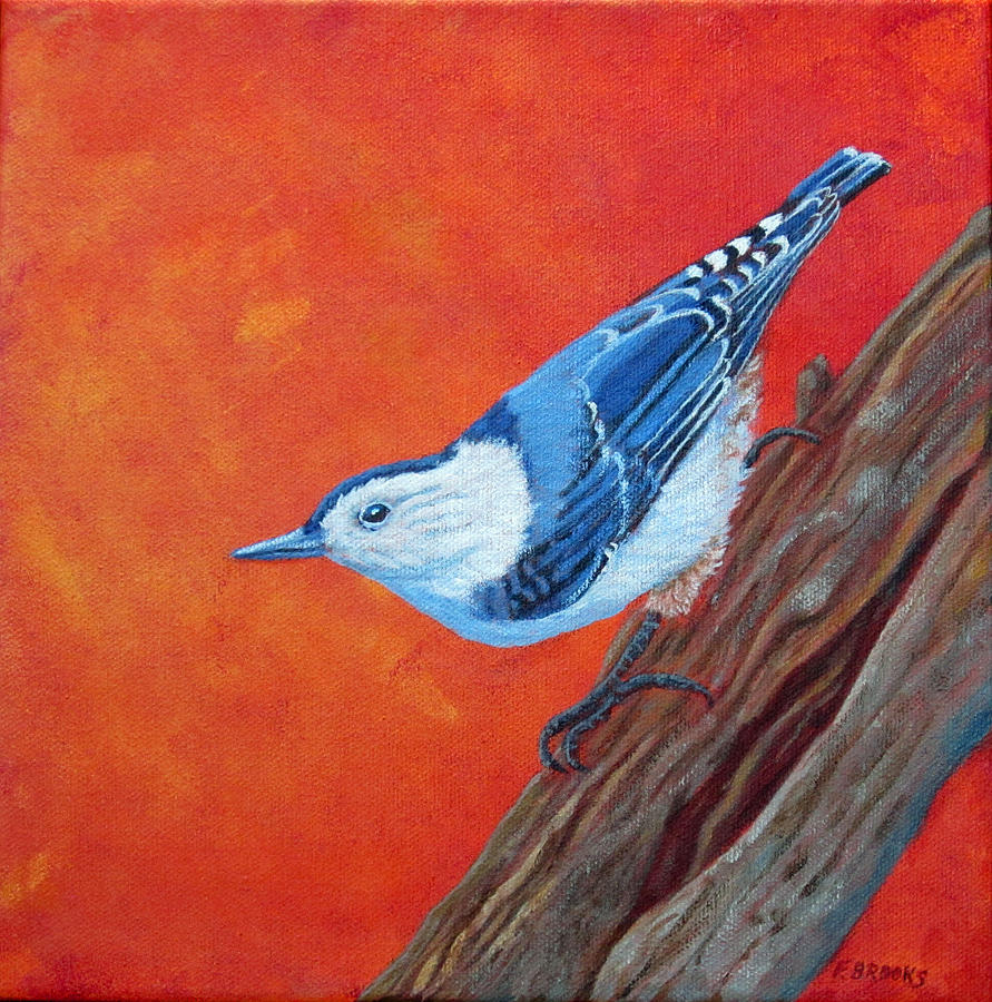White-Breasted Nuthatch by Fran Brooks White-Breasted Nuthatch by Fran Brooks