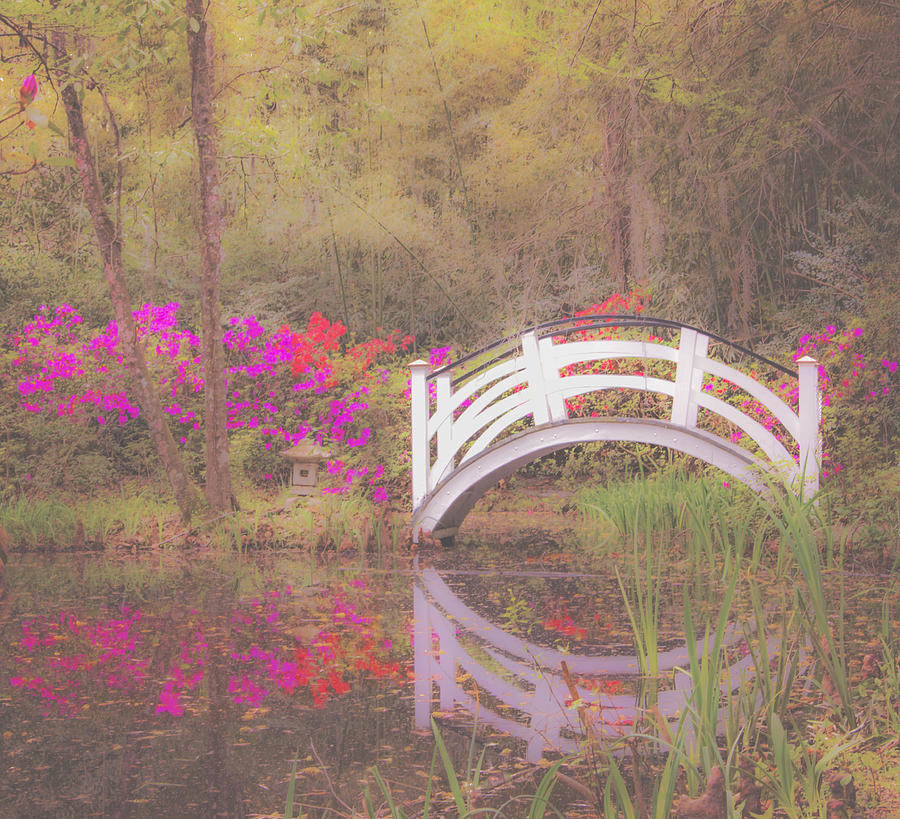 Little White Bridge at Magnolia Gardens Photograph by Mark Matheny ...