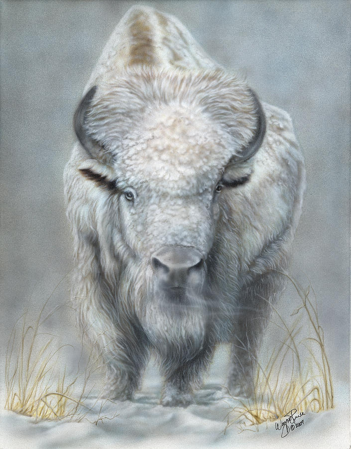 Buffalo Painting - White Buffalo by Wayne Pruse