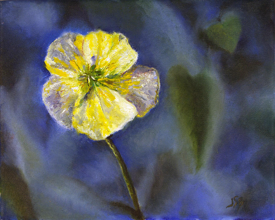 Nature Painting - White Buttercup at ChesLen Preserve by Jennifer Braxton