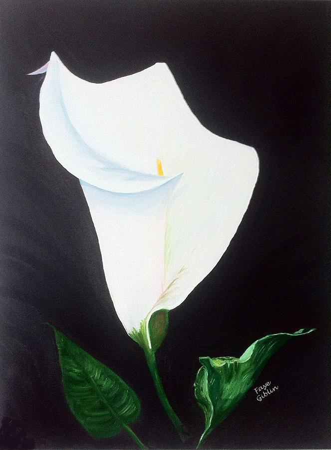 Lily Painting - White Calla Lily by Faye Giblin