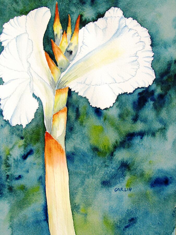White Canna Flower Painting by Carlin Blahnik CarlinArtWatercolor