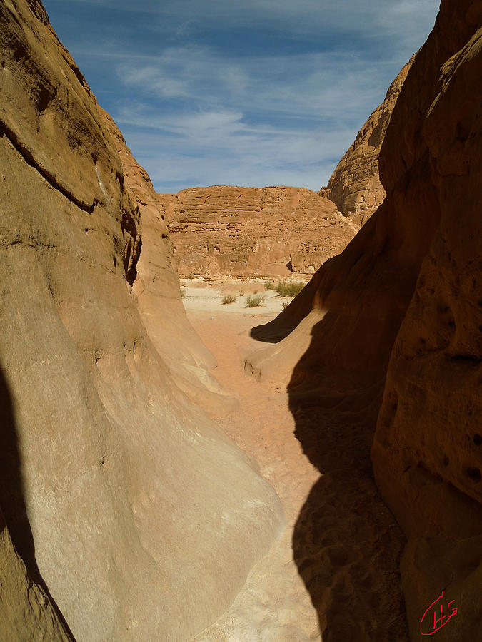 White Canyon Desert Walking Path  Sinai Egypt  Photograph by Colette V Hera Guggenheim