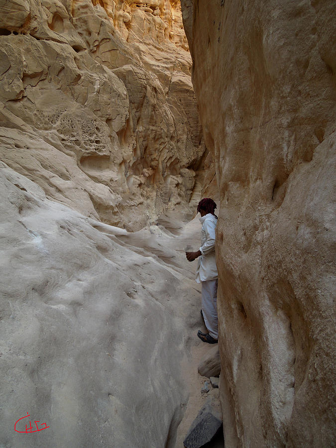 White Canyon Walkingway Sinai Egypt Photograph by Colette V Hera Guggenheim