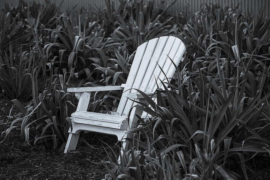 White Chair Photograph by Garry Gay