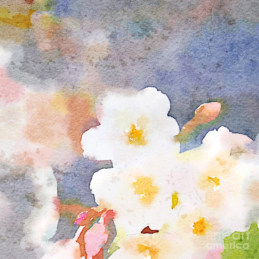 White Cherry Blossoms Digital Watercolor Painting 3 Painting by Beverly Claire Kaiya