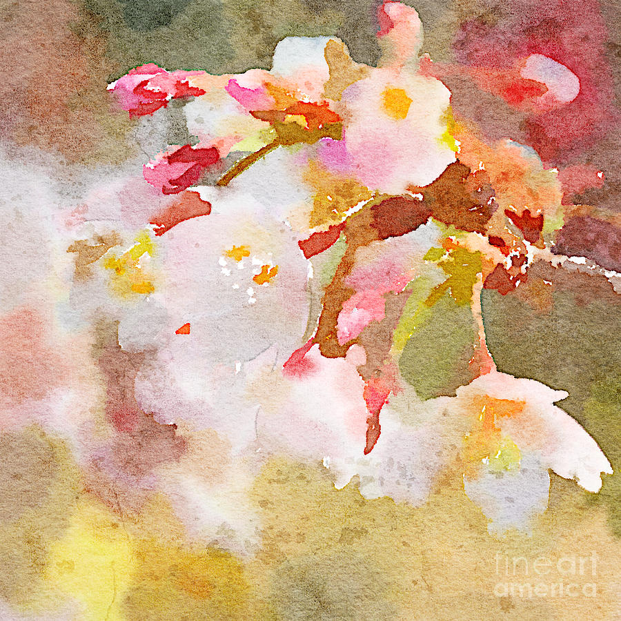 White Cherry Blossoms Digital Watercolor Painting 4 Painting by Beverly Claire Kaiya