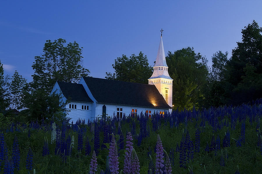 White Church at Dusk in a Field of Lupines Photograph by John Vose