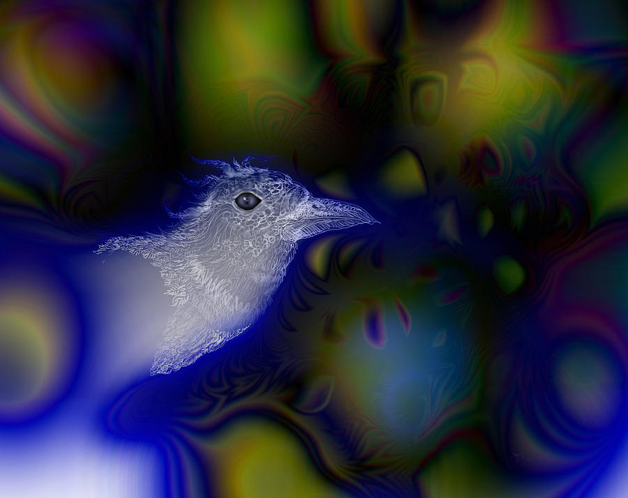 White Crow Digital Art by Adria Trail