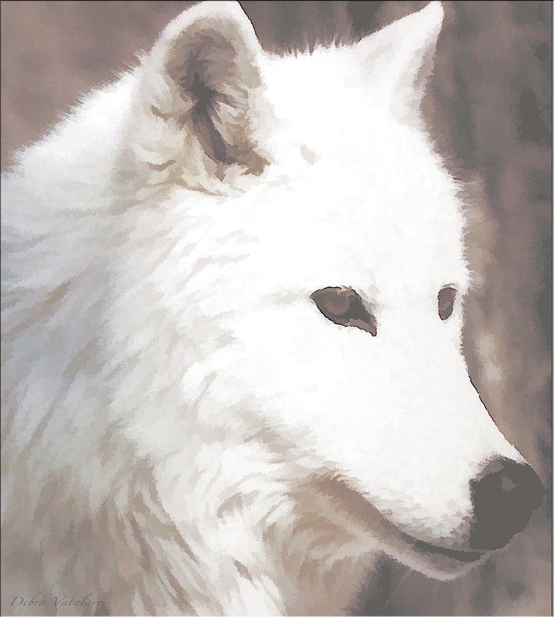 White Dazzle Wolf Painting by Debra     Vatalaro