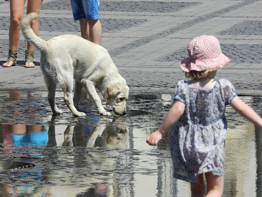 White Dog And Toddler Photograph