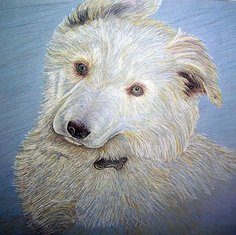 White Dog Drawing - White Dog by Joy Reese