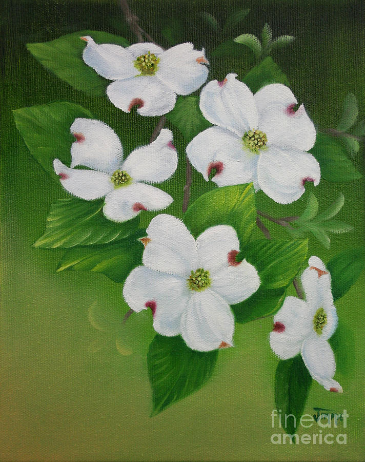 White Dogwoods Painting by Jimmie Bartlett