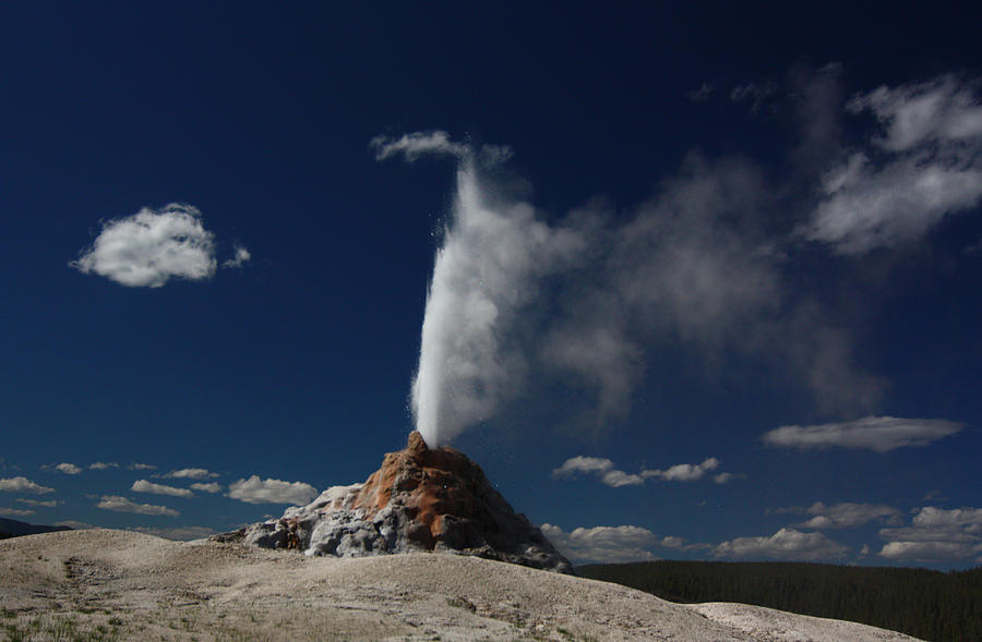 White Dome Geyser in Yellowstone National Park Photograph by Jean Clark