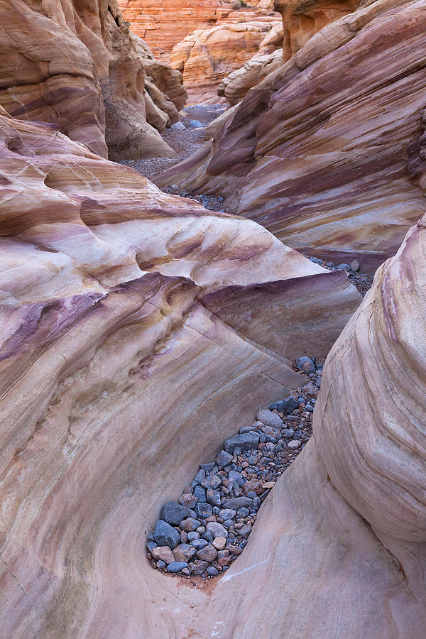 White Domes Slot Canyon - vertical Photograph by Patrick Downey