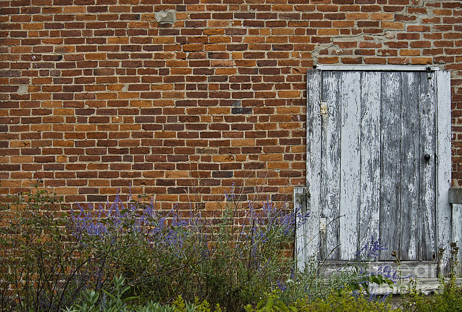 White Door in Brick Building Photograph by David Arment