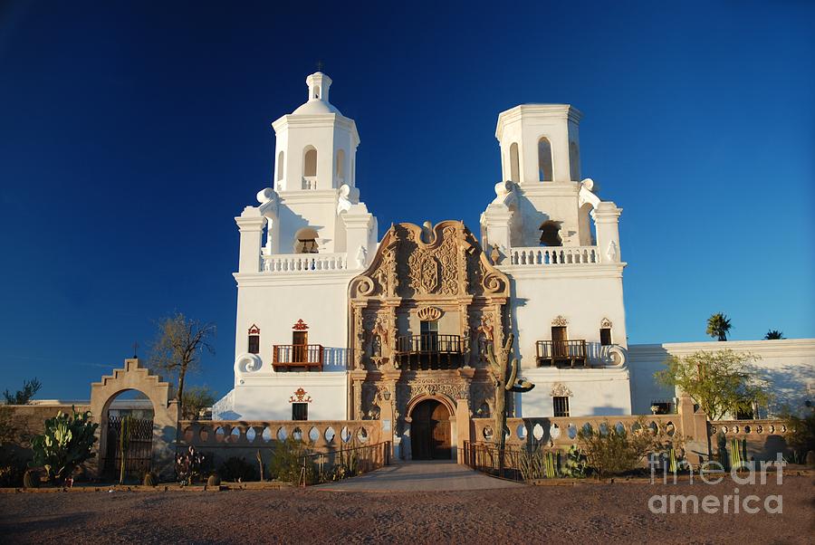 White Dove In The Desert Photograph by Jesse Montanez - Fine Art America