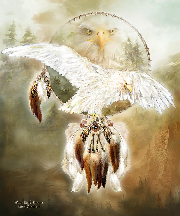White Eagle Dreams Mixed Media by Carol Cavalaris