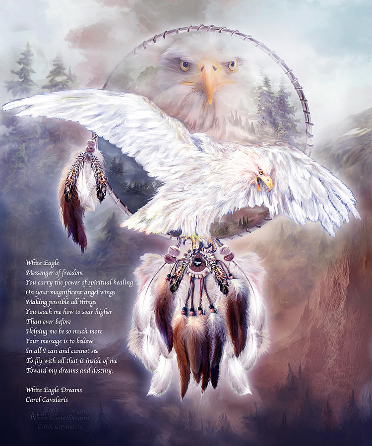 Eagle Mixed Media - White Eagle Dreams w/prose by Carol Cavalaris