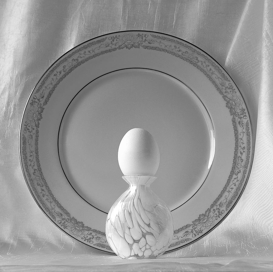 White Easter Egg Photograph by Viktor Savchenko