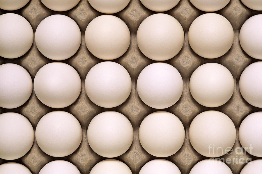 White eggs in carton Photograph by Jim Corwin