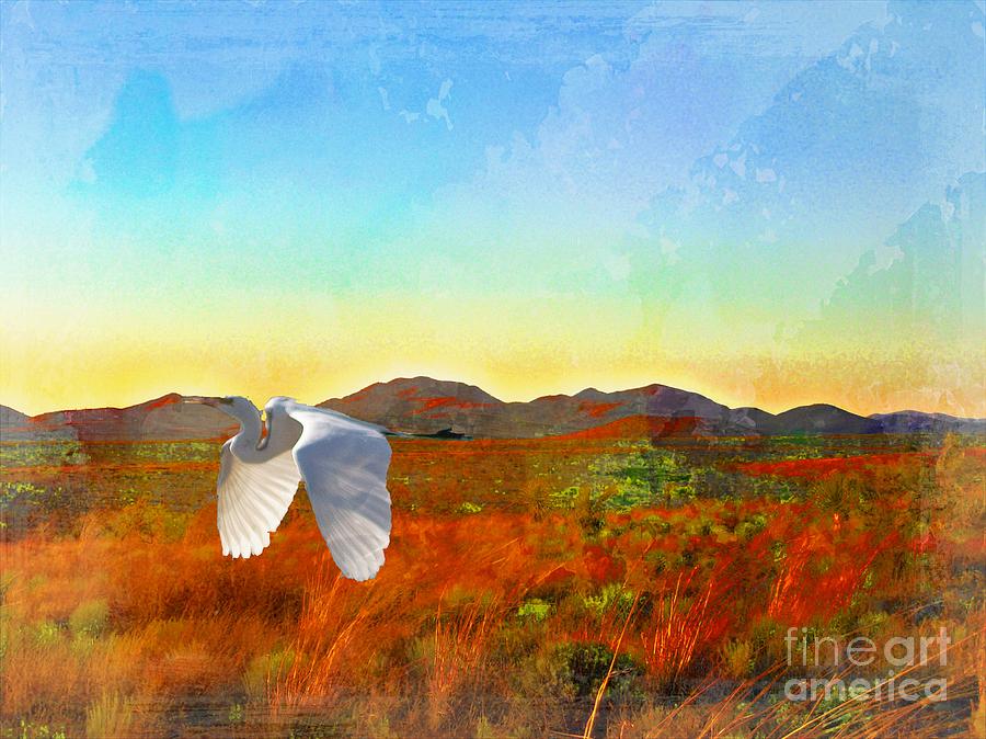 White Egret Flying  Photograph by Bob Galka and john kolenberg