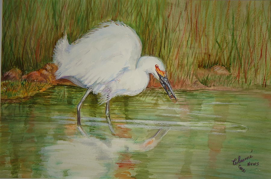 White Egret Wading  Painting by Charme Curtin