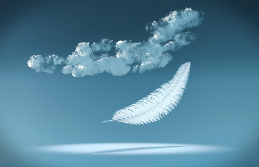 White Feather falling from the blue sky Photograph by Artpartner-images