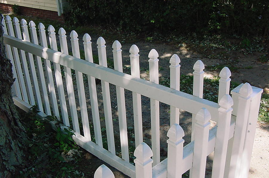 White Fence Provincetown Photograph by Mike McCool