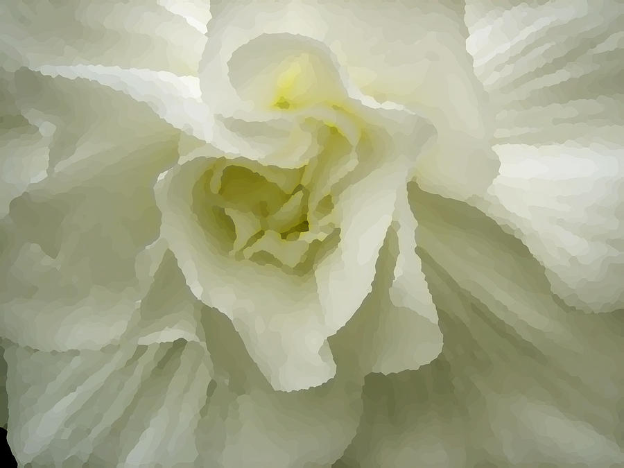 White Flower Digital Art by Ann Powell