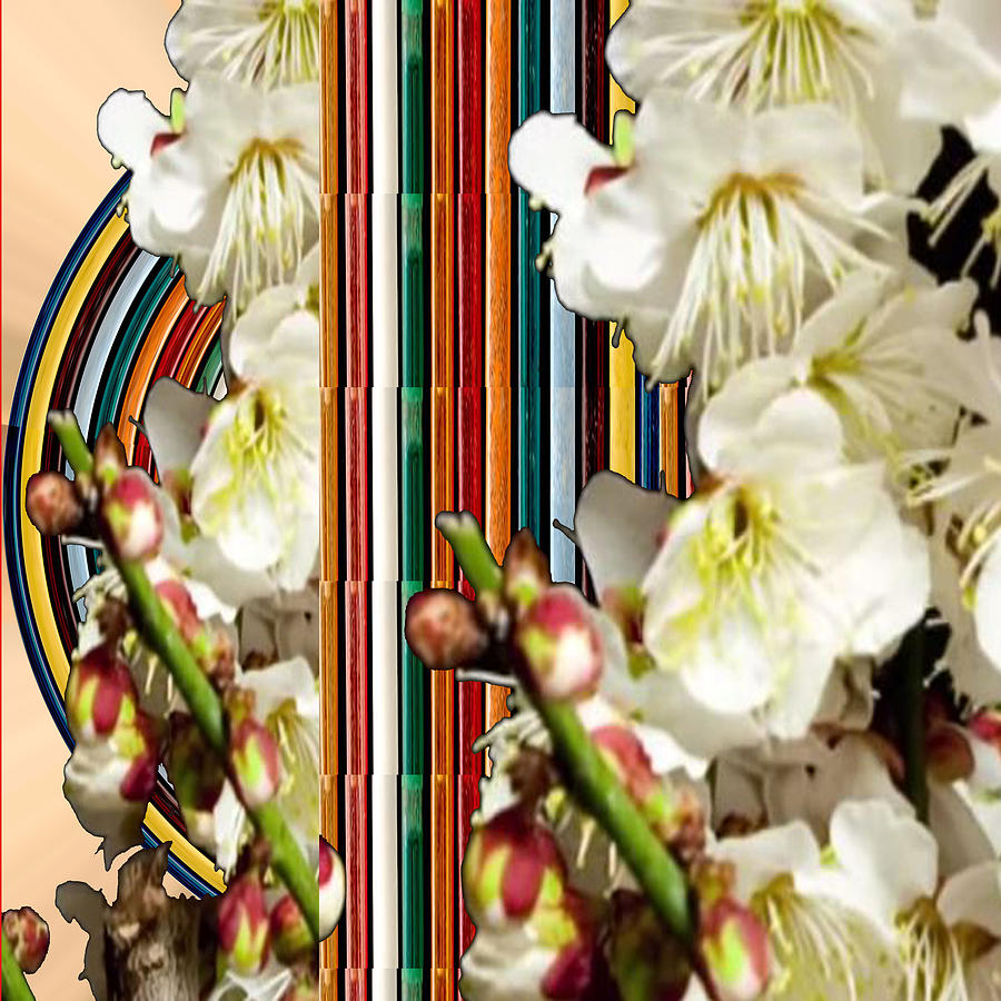 Flowers Still Life Mixed Media - White Flower Medley Colorful Rainbow stripes on the backdrop Artist NavinJoshi  by Navin Joshi