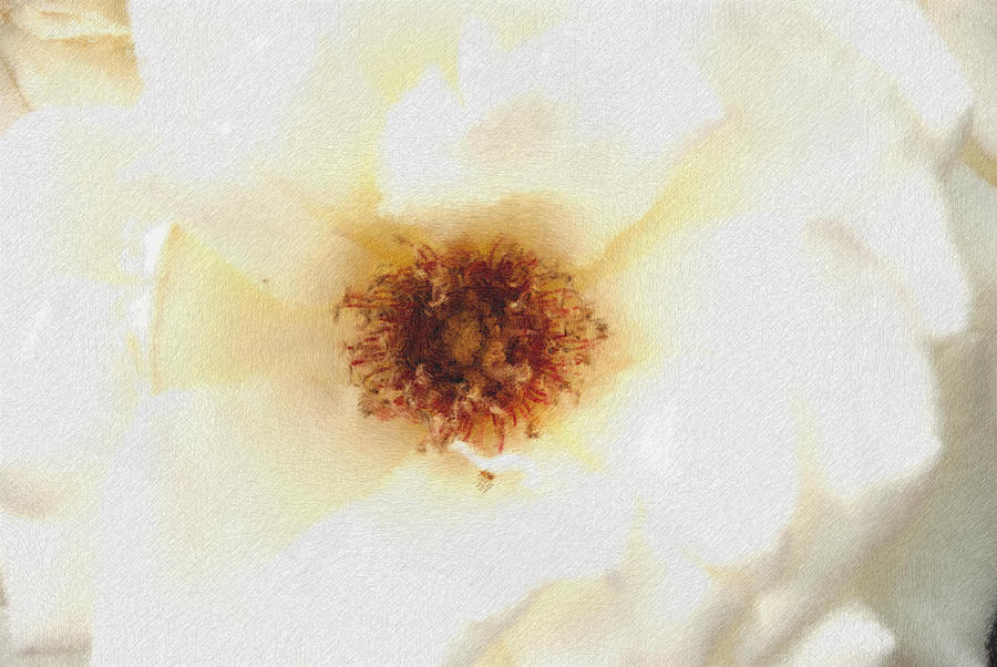 White Flower Pastel Chalk Photograph