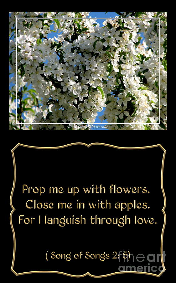 Nature Photograph - White Flowering Crabapple with Song of Songs Quote by Rose Santuci-Sofranko