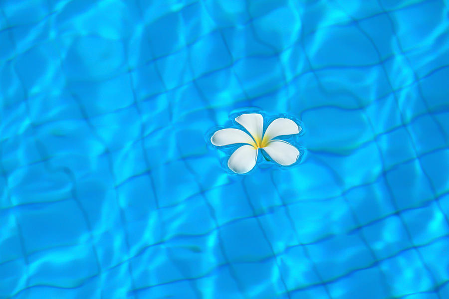 White flowers and pool. Photograph by Suphakit Wongsanit - Fine Art America