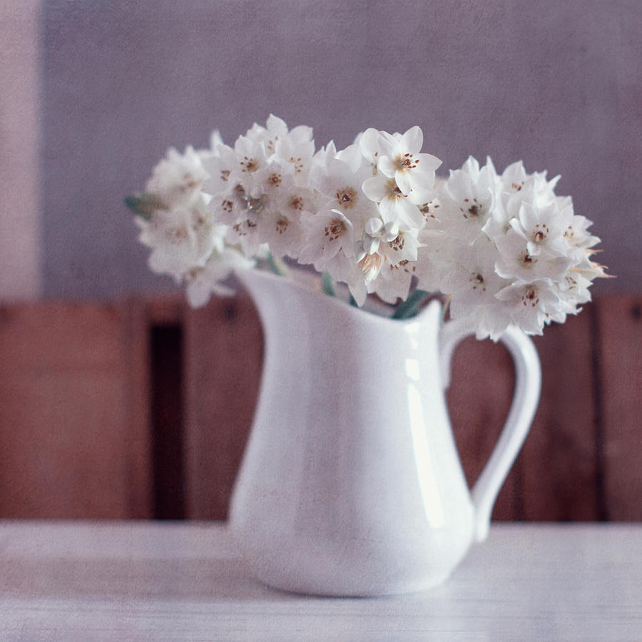 White Flowers In White Pitcher Photograph by Copyright Anna Nemoy(xaomena)