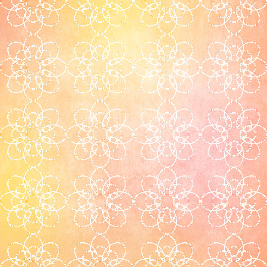 White Flowers with Warm Orange background Digital Art by Lenny Carter