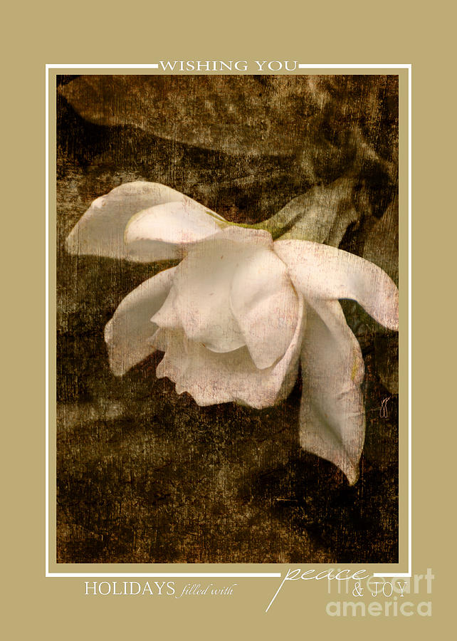White Gardenia Flower Christmas Cards Photograph by Jai Johnson